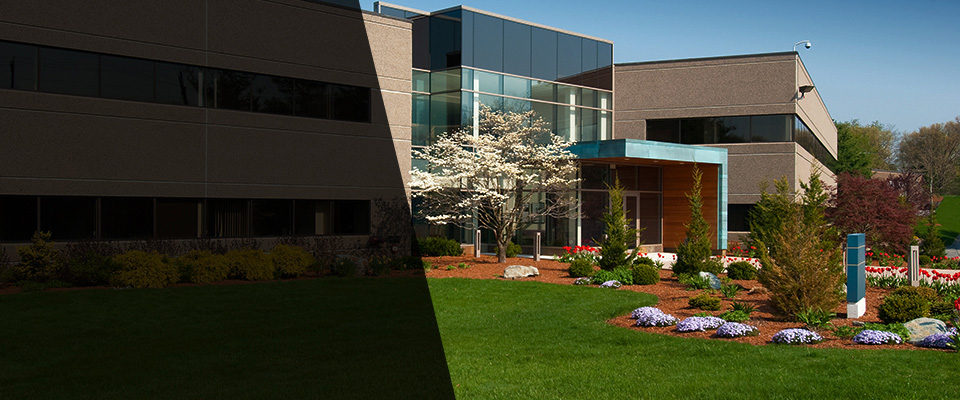 Valley Mills Landscapers