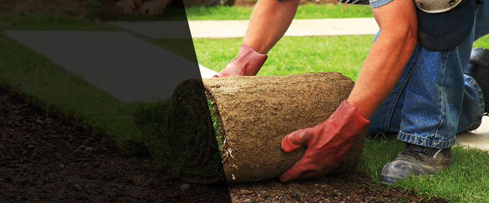 Valley Mills Landscapers